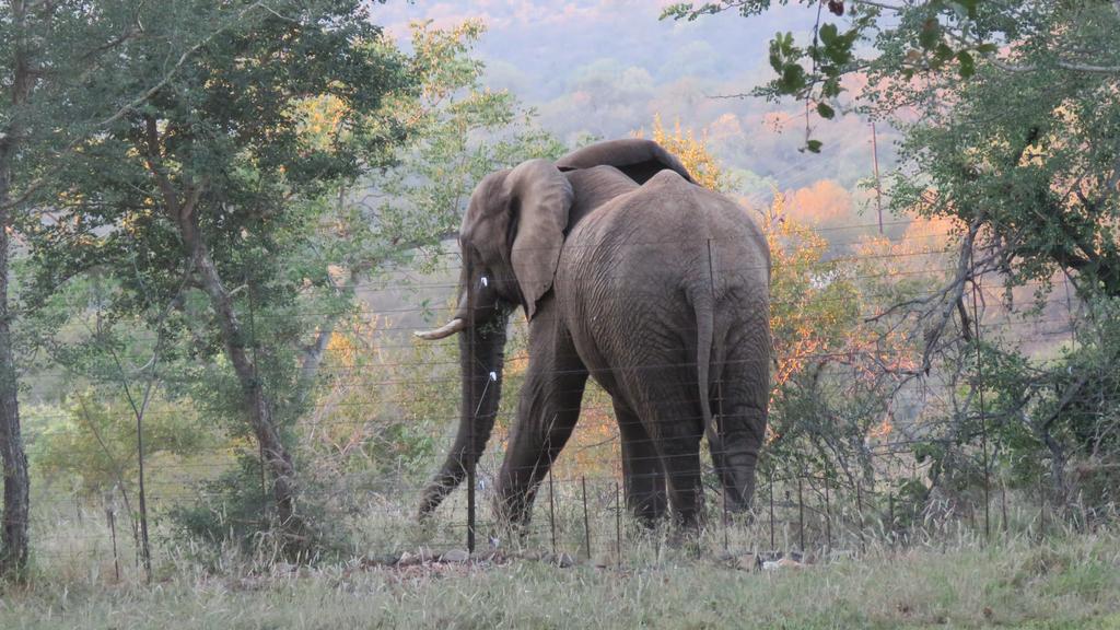 Isilimela Game Lodge Hoedspruit Buitenkant foto