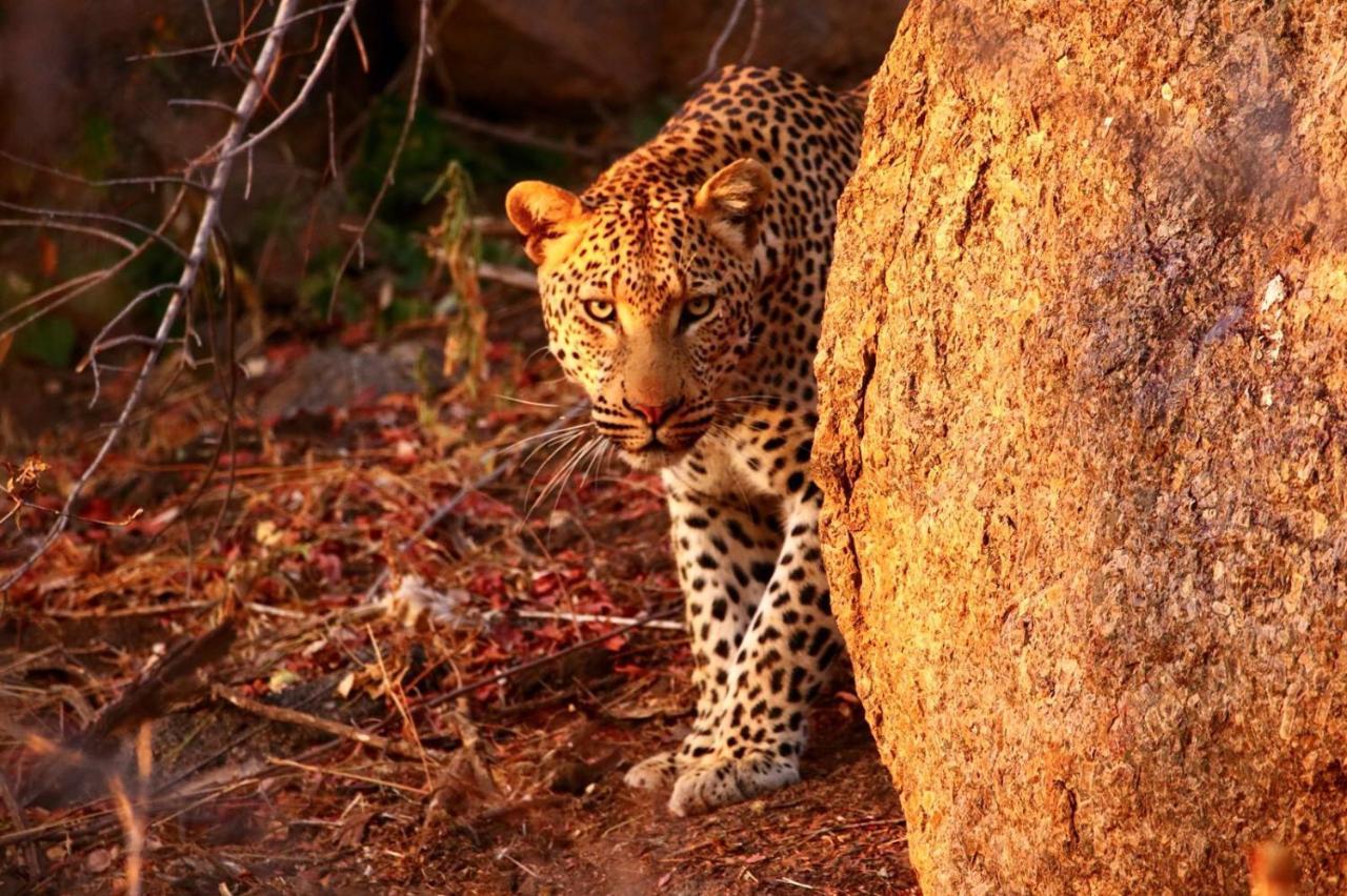 Isilimela Game Lodge Hoedspruit Buitenkant foto
